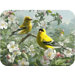Tuftop Orchard Goldfinch Cutting Board
