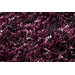 Sprinkle Purple Rug