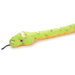 Snake Emerald Tree Boa