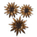 Golden Gazanias Wall Art in Gold - Set of 3