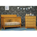 Kalani 4 in 1 Convertible Crib with Toddler Rail in Honey Oak