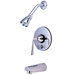 Silver Sage Tub and Shower Faucet Single Handle
