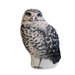 Owl Mini Cushion