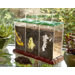 See-Through Compost Container