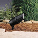 Black Contemporary Accent Spot Light