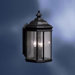 Kirkwood  Outdoor Wall Lantern in Black