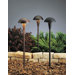 Black Eclipse Landscape Path Light