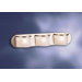  Vanity Light in Brushed Nickel