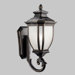 Salisbury Fluorescent Outdoor Wall Lantern in Rubbed Bronze