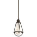 1 Light Mini Pendant