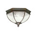 Warrington 2 Light Outdoor Flush Mount