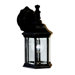 Chesapeake  Outdoor Wall Lantern in Black