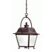 Bristol  Hanging Lantern in Natural Bronze