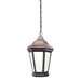 Verona Large Hanging Lantern