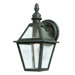 Townsend  Wall Lantern in Natural Bronze