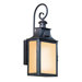 Newton One Light Outdoor Wall Lantern in Old Bronze