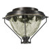 Adirondacks Two Light Patio Ceiling Fan Light Kit