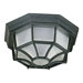  Flush Mount in Black