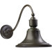 Outdoor Wall Lantern in Oiled Bronze