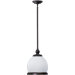 1 Light Pendant