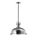 1 Light Pendant