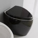 Moai Floor-Mounted Toilet