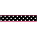 Hot Dot Collection Wall Paper Border 