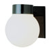 One Light Outdoor Wall Lantern with Opal Globe Shade