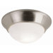 Energy Efficient Indoor 2 Light Flush Mount