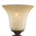 Pemberly Court Glass Shade