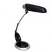 Full Spectrum 13W Desk Lamp