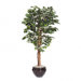 Artificial Ficus Tree
