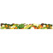 Trimmer Vegetable Mix Discovery