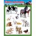 Learning Chart Farm Animals