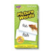 Picture Words Skill Drill Flash Cards