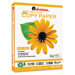 100% Recycled Copy Paper, 5000 Sheets/Carton