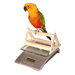 Deluxe Digital Small Animal and Aviary Scale with Perch