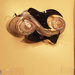 Papillon Wall Sculpture