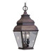 Exeter  Outdoor Hanging Lantern in Bronze