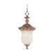 Savannah  Outdoor Hanging Lantern in Venetian Patina