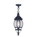 Frontenac 1 Light Foyer Pendant