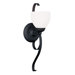 Brookside 1 Light Wall Sconce