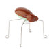 Whalt Jumping Bug