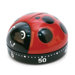 Ladybug Timer