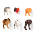 Animal Butt Magnets (Set of 6)