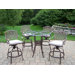 Hummingbird Mississippi 5-Piece Swivel Bar Set with Cushions