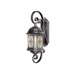 Sardinia 11" Outdoor Wall Sconce in Vintage Patina - Energy Star