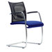 Visita Guest Chair with Sled Base