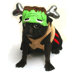 Barkenstein Dog Costume