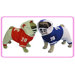 Football Dog Costume